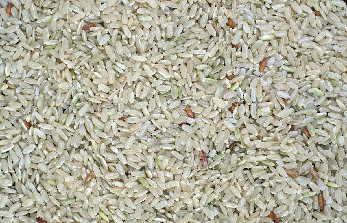 Quinoa - vollständiges Proteinprofil