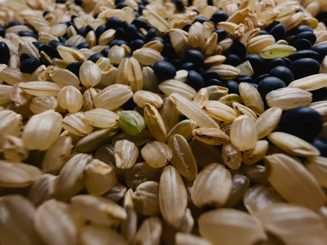 Leinsamen - Omega-3 Quelle